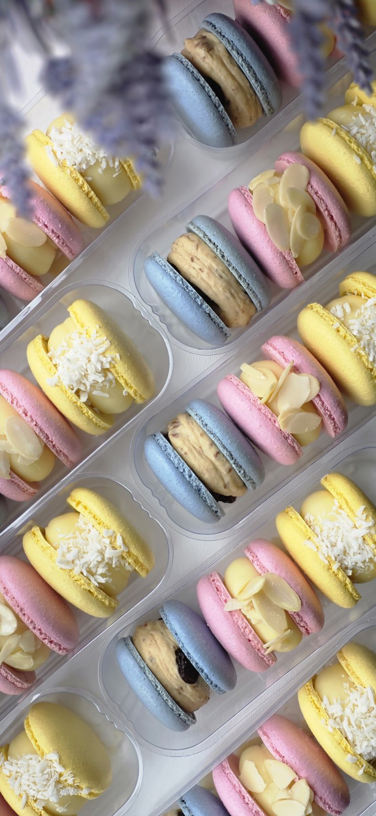 Pistachio Choux