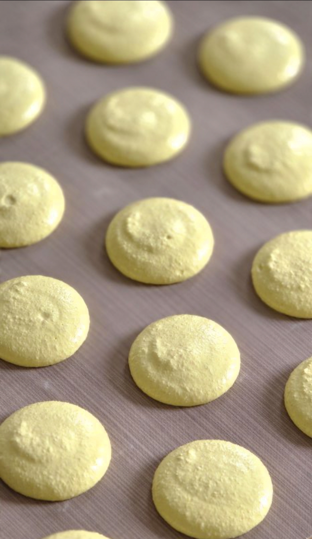 Macaron shells